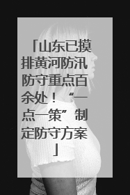 山东已摸排黄河防汛防守重点百余处！“一点一策”制定防守方案