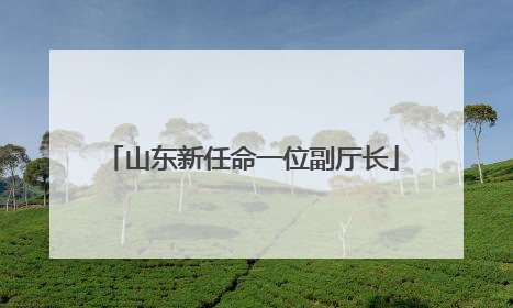 山东新任命一位副厅长