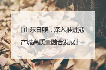 山东日照：深入推进港产城高质量融合发展