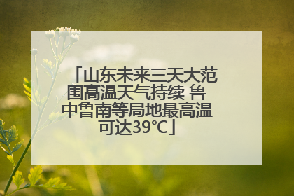 山东未来三天大范围高温天气持续 鲁中鲁南等局地最高温可达39℃