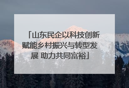 山东民企以科技创新赋能乡村振兴与转型发展 助力共同富裕