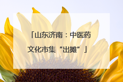 山东济南：中医药文化市集“出摊”