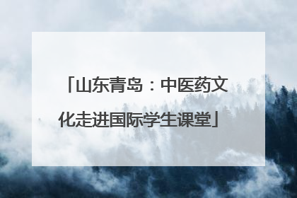 山东青岛：中医药文化走进国际学生课堂
