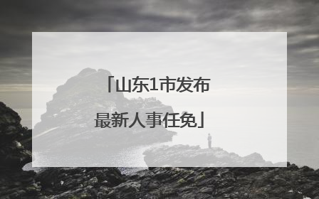 山东1市发布最新人事任免