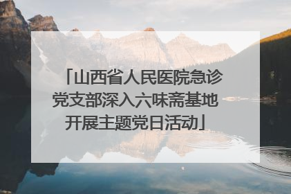 山西省人民医院急诊党支部深入六味斋基地开展主题党日活动