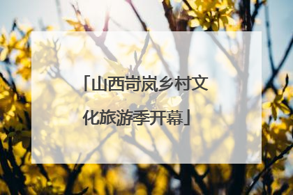 山西岢岚乡村文化旅游季开幕