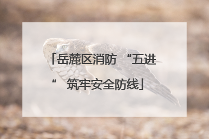 岳麓区消防 “五进” 筑牢安全防线