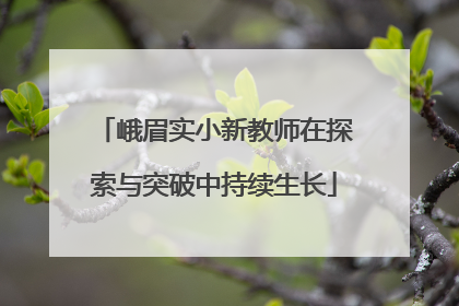 峨眉实小新教师在探索与突破中持续生长