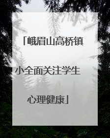 峨眉山高桥镇小全面关注学生心理健康