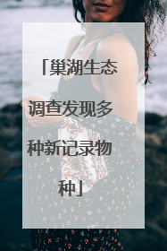 巢湖生态调查发现多种新记录物种