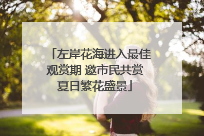 左岸花海进入最佳观赏期 邀市民共赏夏日繁花盛景