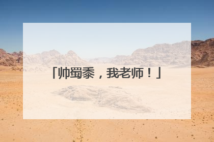帅蜀黍，我老师！