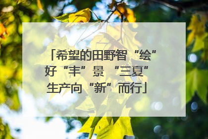 希望的田野智“绘”好“丰”景 “三夏”生产向“新”而行