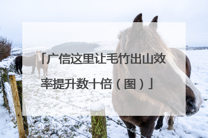 广信这里让毛竹出山效率提升数十倍（图）