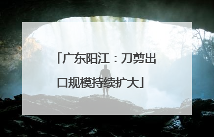 广东阳江：刀剪出口规模持续扩大