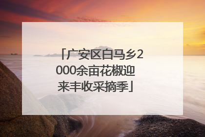广安区白马乡2000余亩花椒迎来丰收采摘季