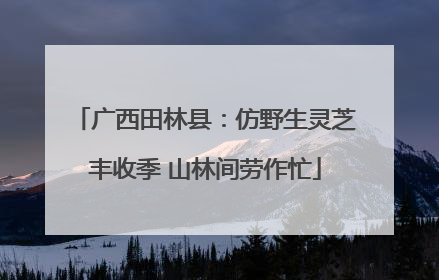 广西田林县：仿野生灵芝丰收季 山林间劳作忙