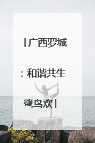广西罗城：和谐共生鹭鸟欢