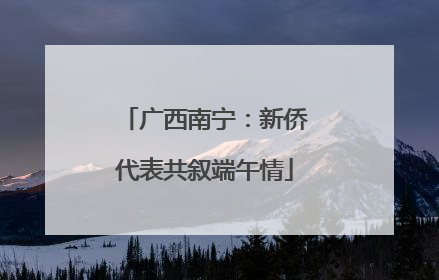 广西南宁：新侨代表共叙端午情