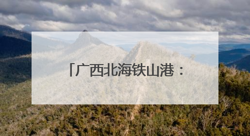 广西北海铁山港：30年蝶变超千亿现代化工业强区