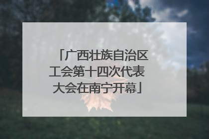 广西壮族自治区工会第十四次代表大会在南宁开幕