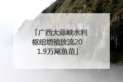 广西大藤峡水利枢纽增殖放流201.9万尾鱼苗