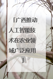 广西推动人工智能技术在农业领域广泛应用