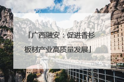 广西融安：促进香杉板材产业高质量发展