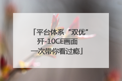 平台体系“双优” 歼-10CE画面一次带你看过瘾