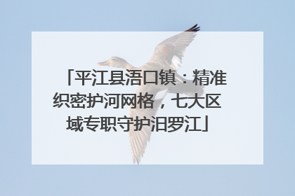 平江县浯口镇：精准织密护河网格，七大区域专职守护汨罗江