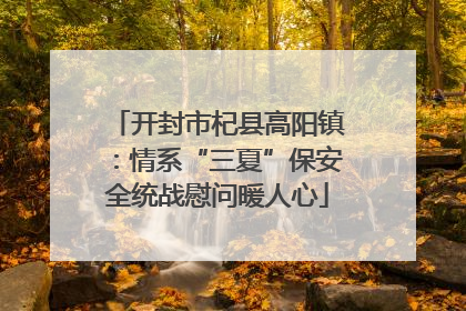 开封市杞县高阳镇：情系“三夏”保安全统战慰问暖人心