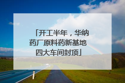 开工半年，华纳药厂原料药新基地四大车间封顶