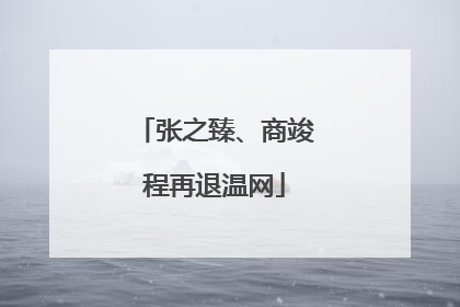 张之臻、商竣程再退温网