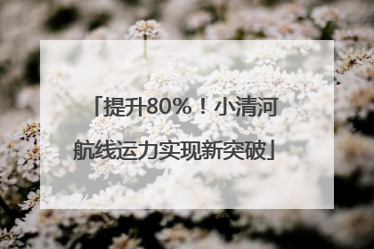 提升80％！小清河航线运力实现新突破