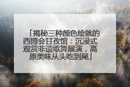 揭秘三种颜色绘就的西博会甘孜馆：沉浸式观赏非遗歌舞展演，高原美味从头吃到尾