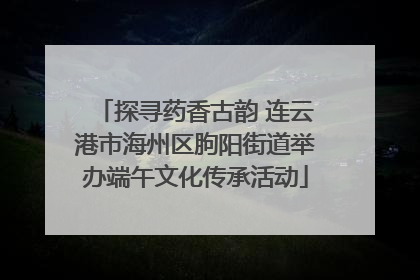 探寻药香古韵 连云港市海州区朐阳街道举办端午文化传承活动