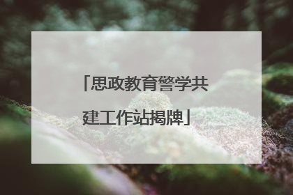 思政教育警学共建工作站揭牌