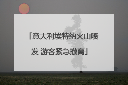 意大利埃特纳火山喷发 游客紧急撤离