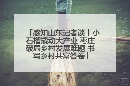 感知山东记者谈丨小石榴撬动大产业 枣庄破局乡村发展难题 书写乡村共富答卷