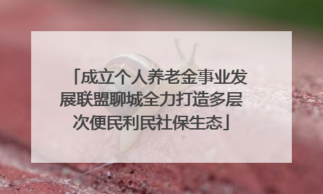 成立个人养老金事业发展联盟聊城全力打造多层次便民利民社保生态