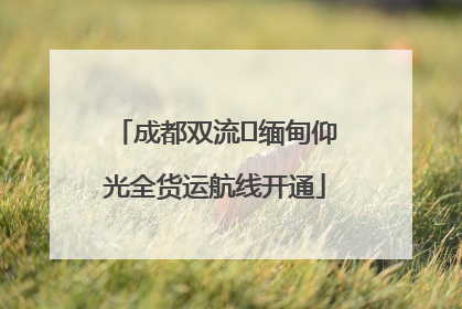 成都双流⇌缅甸仰光全货运航线开通