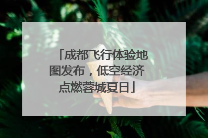 成都飞行体验地图发布，低空经济点燃蓉城夏日