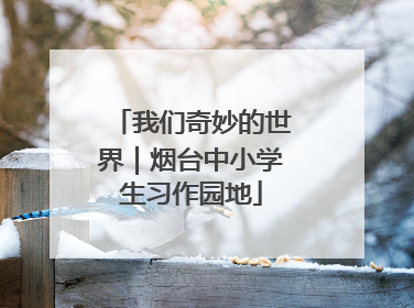 我们奇妙的世界｜烟台中小学生习作园地