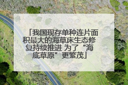 我国现存单种连片面积最大的海草床生态修复持续推进 为了“海底草原”更繁茂