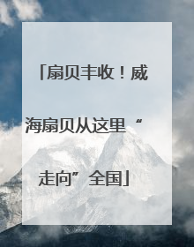 扇贝丰收！威海扇贝从这里“走向”全国