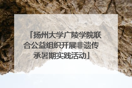 扬州大学广陵学院联合公益组织开展非遗传承暑期实践活动