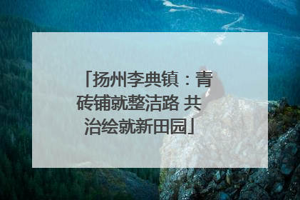 扬州李典镇：青砖铺就整洁路 共治绘就新田园
