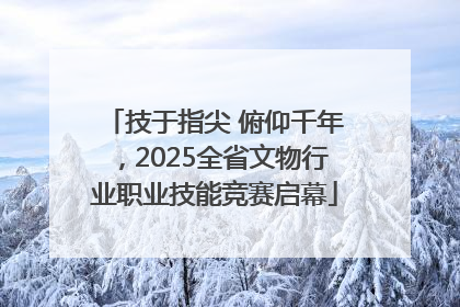技于指尖 俯仰千年，2025全省文物行业职业技能竞赛启幕