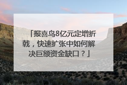 报喜鸟8亿元定增折戟，快速扩张中如何解决巨额资金缺口？