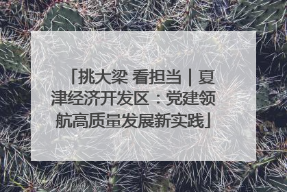 挑大梁 看担当｜夏津经济开发区：党建领航高质量发展新实践